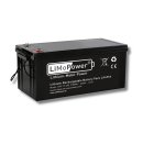 LiFePo4 Akku 12V / 300Ah - mit BMS 160A-LiMoPower®